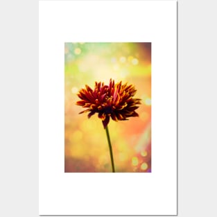 Red And yellow Pom Pom Colored lights Posters and Art